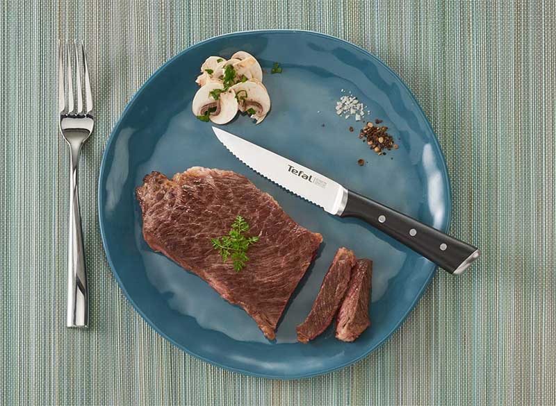 Tefal Ice Force Stainless Steel Steak Knives – 11cm – Set of 4, K232S414